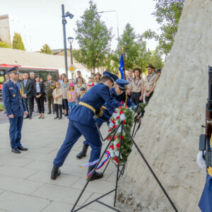 IMG_2772___.jpg